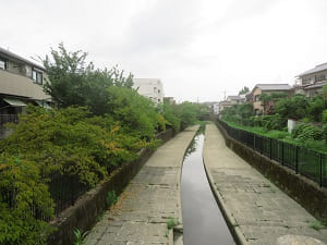 橋の上から見る淀水路