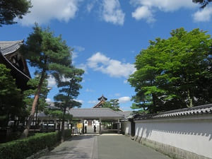 カエデと秋空