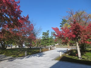 宝物館前の紅葉