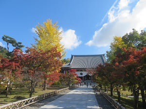 参道の紅葉風景