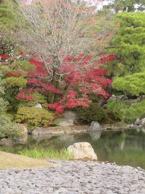 御池庭の紅葉