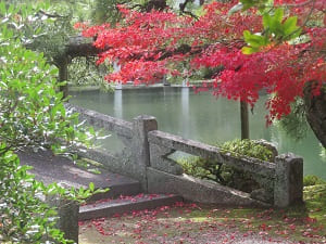 石橋と紅葉