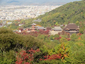 見下ろす清水寺