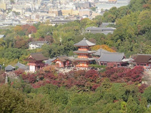 三重塔と紅葉