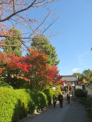 西来院の山門と紅葉