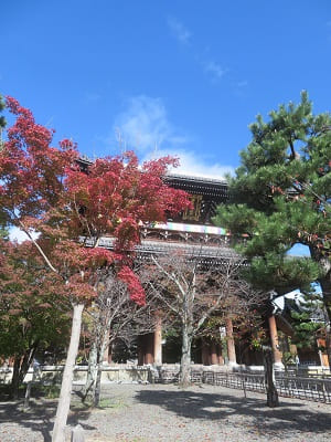 紅葉と山門