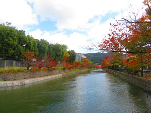 岡崎疏水