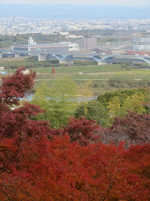 展望台からの眺め