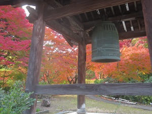 鐘楼と紅葉