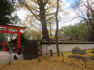 東側の鳥居