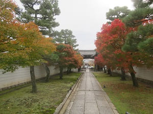 妙顕寺