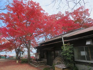 石清水八幡宮