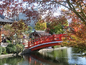 紅葉越しの法成橋