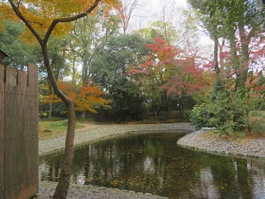 竜ヶ池と紅葉