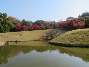 池と紅葉