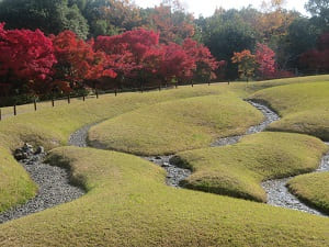 野筋と紅葉