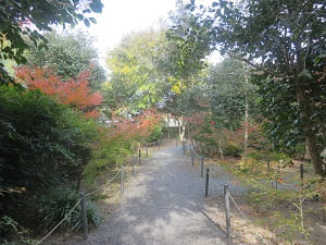 庭園