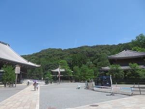 夏の知恩院