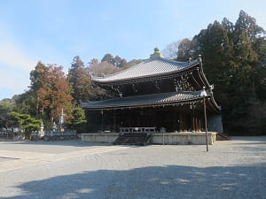 冬の知恩院