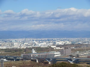 展望台からの眺め