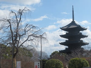 冬の東寺