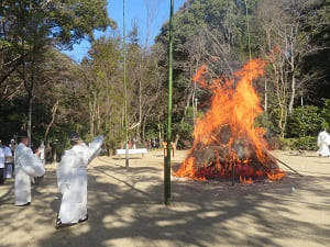 木札が投げ入れられる