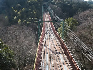 ケーブルカーの線路