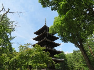 夏の仁和寺