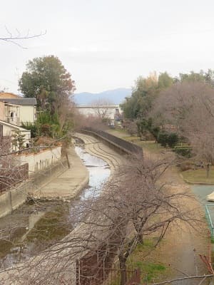 見下ろす淀水路