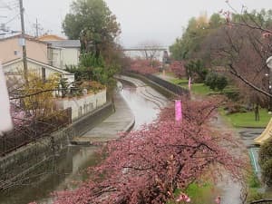 淀水路の東側