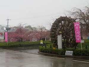 淀駅のバスターミナル