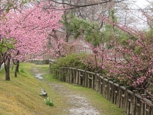 淀城跡公園