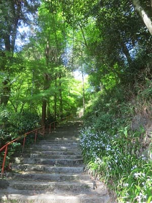 石段と新緑