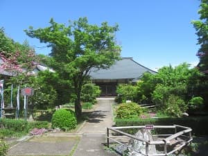 本堂と新緑