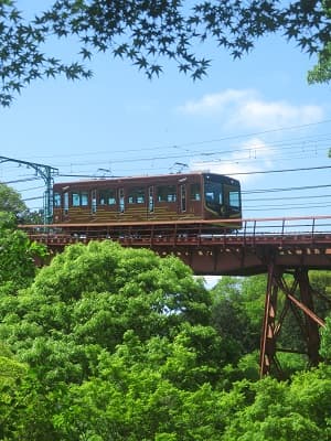 新緑とケーブルカー