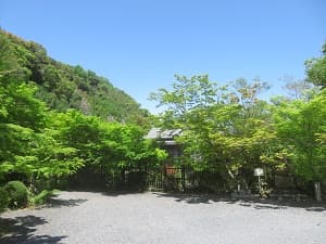 青空と新緑