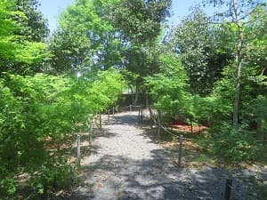 北側の庭園
