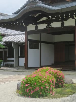 本坊の玄関とサツキ