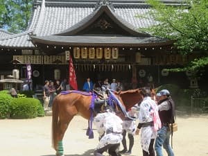 馬の準備