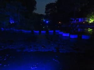 臥龍橋