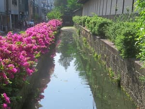 堀とツツジ