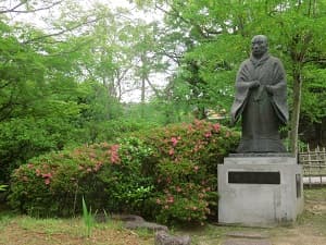 親鸞聖人とサツキ
