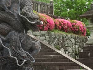 祥雲青龍とサツキ