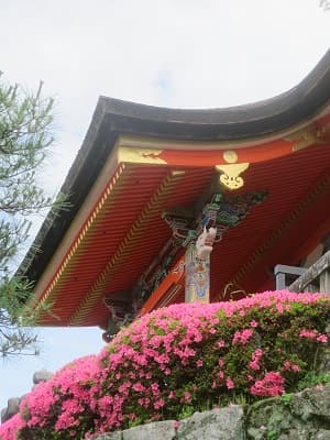西門とサツキ