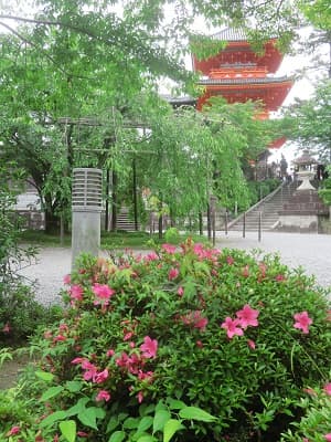 サツキと三重塔