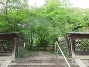 本廟付近のカエデ