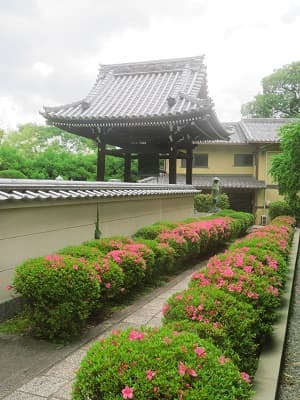 サツキと鐘楼