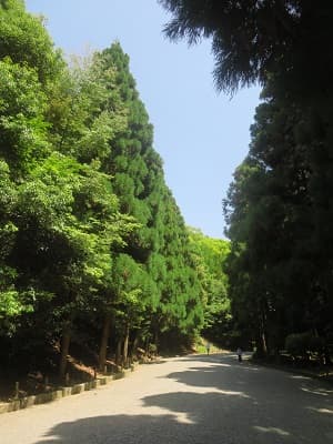 参道