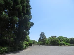 青空