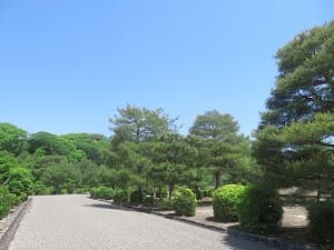 緑と青空